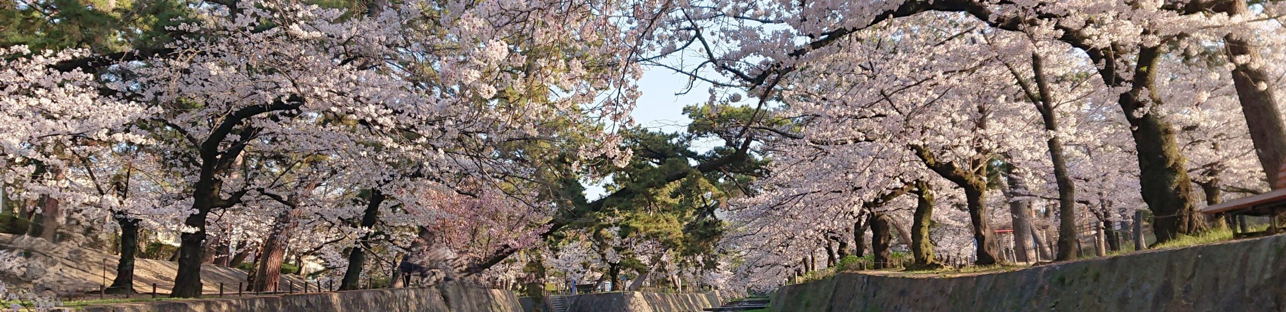 夙川　税理士佐々木事務所